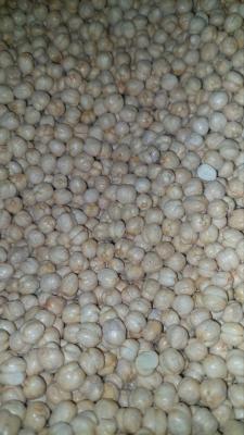 نخود گل فله